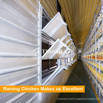 Tianrui Automatic Layer Broiler Poultry Chicken Farm Flooring System